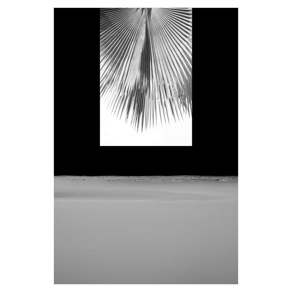 Fotografía exposicion Camino de Sandra Zobel